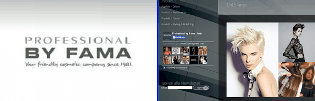 Professional BY FAMA „Plural Color System